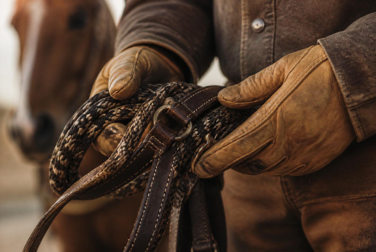 Experienced horse handler holding lead rope